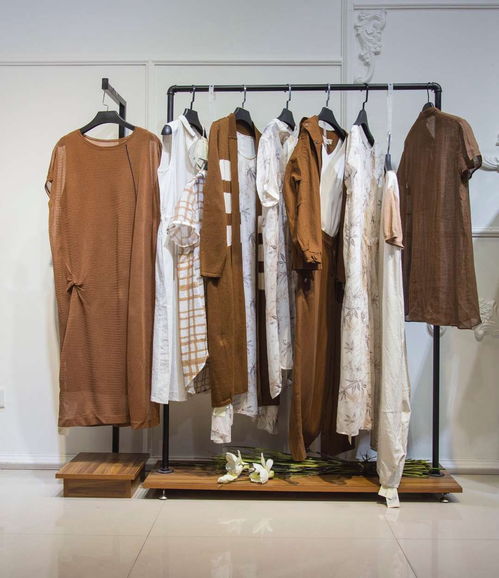 中老年服裝品牌女裝新款撤柜女裝剪標(biāo)商場(chǎng)國(guó)際品牌女裝有哪些